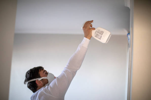 Best Mold Removal Company Near Me  in Morgantown, KY